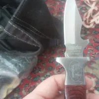 فوجانجی امریکایی