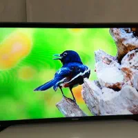 ال ای دی تلویزیون  SAMSUNG 32 بسیار تمیز|تلویزیون و پروژکتور|تبریز, |دیوار