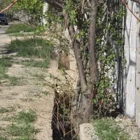 باغ سرسبز و دلنشین سند دار