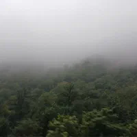 یه قطعه زمین ۱۶۰ متر مربع سندار مسکونی شهر خلخال