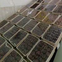 حراج خرما و قارچ و خشکبار علوی|خوردنی و آشامیدنی|مشهد, رسالت|دیوار