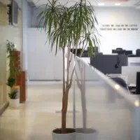 استخدام نیروی کارشناس فروش / اداری