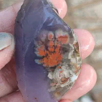 سنگ سوسنی و خرمایی