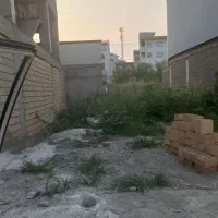 زمین-رشتیان-فلکه-جهاد-بردواز-خیابان-اصلی