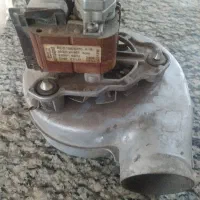 فن آلمانی