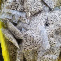 مغز تخمه آفتابگردان مرغوب