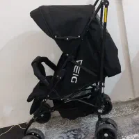 کالسکه عصایی