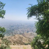 طبیعتگرد