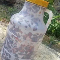 خرما فروشی ربی مضافتی