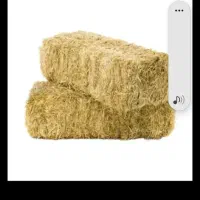 فروش کاه پرس سفال جو طلای تحویلی