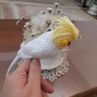 عروس‌هلندی‌دست‌بافت|صنایع دستی و سایر لوازم تزئینی|سقز, |دیوار