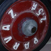 دمبل
