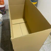 فروش دو مدل کارتن