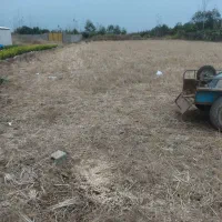 زمین-کشاورزی-شالیزار