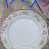بشقاب و کاسه آرکوپال