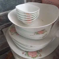 ظرف آرکوپال خورشت خوری ندارد