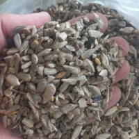 مغزتخمه آفتابگردان