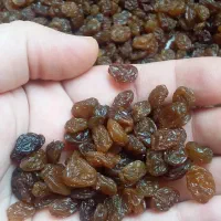 کشک مایع روغن گوسفند روغن گاو شیره کره عسل رب انار