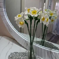 گل نرگس انعطاف‌پذیر