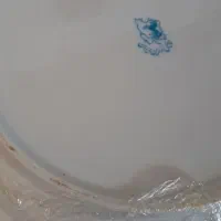 پلوخوری زرین