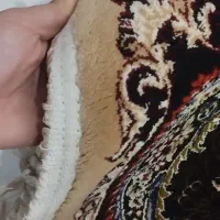 فرش ماشینی ۶متری|فرش|کرمانشاه, |دیوار