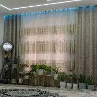پرده پانچ سالم