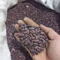 لوبیا قرمز|خوردنی و آشامیدنی|کبودرآهنگ, |دیوار