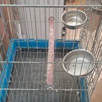 قفس کاسکویی بزرگ پیاله اب دون استیل