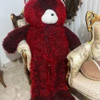 خرس بزرگ زیبا