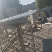 قفس|لوازم جانبی حیوانات|جهرم, |دیوار