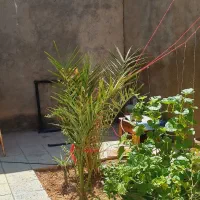 خانه-ویلایی-قدیمی