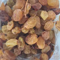 کشمش بی دانه. انگور کشمشی