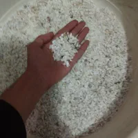 آکواریوم ، لوازم آکواریوم ، ماهی فایتر|ماهی|رشت, بازار|دیوار