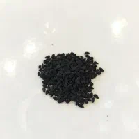 سیاه دانه بذر خارجی صادراتی|خوردنی و آشامیدنی|اصفهان, سعادت‌آباد|دیوار