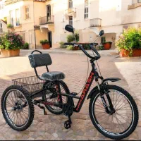 سه چرخه بزرگسالان آرش|دوچرخه، اسکیت، اسکوتر|اصفهان, فرهنگیان|دیوار