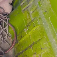 تویوتا ۲۰۰۰ مدل ۸۰|خودرو سواری و وانت|سراوان, |دیوار