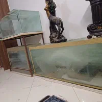 آکواریوم بزرگ