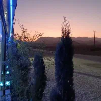 سالن جشن، تولد، مهمانی ،عقد|اجارهٔ کوتاهمدت آپارتمان و سوئیت|گلپایگان, |دیوار