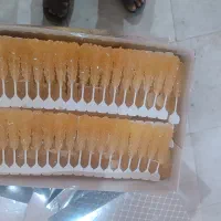 جذب نیرو زن جهت بسته بندی نبات|استخدام صنعتی، فنی، مهندسی|اردکان, |دیوار