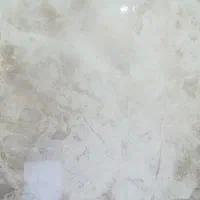 سفته پیدا کردم