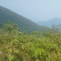 خانه دربستی 60متر اجاره داده میشود