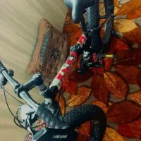 دوچرخه لاستیک پهن|دوچرخه، اسکیت، اسکوتر|اردکان, |دیوار