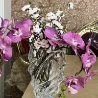 گل ارکیده کاملا نو