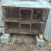 قفس مرغی سالم دو طبقه