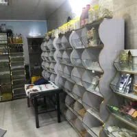 واگذاری مغازه عطاری با وسایل و ویترین|اجارهٔ مغازه و غرفه|اندیشه, شهرک مریم|دیوار