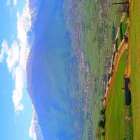 استخدام مشاور املاک