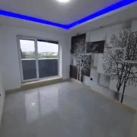 نظافت منزل و ساختمان (سعیدی)