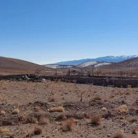 زمین آینده دار زعفرون زار دُرُخش|فروش زمین و ملک کلنگی|قهستان, |دیوار