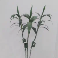 سه عددشاخه بامبوبهمراه گلدان شیشه ای|گل مصنوعی|رشت, حمیدیان|دیوار