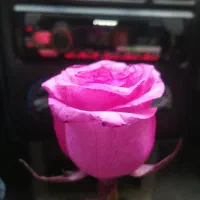 بلیط کنسرت سهراب پاکزاد